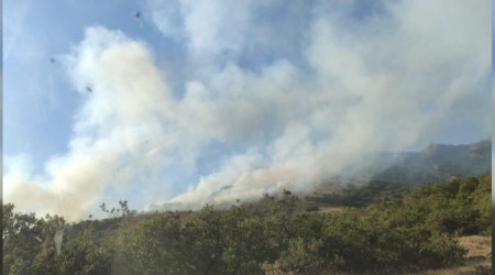 Bingöl'de 2 farklı noktada orman yangını