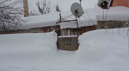 Bitlis'te tek katl evler kara gmld