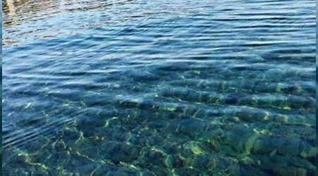 Bodrum'da deniz pırıl pırıl oldu