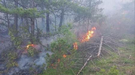 Bolu'da yangnda 1 hektar alan zarar grd