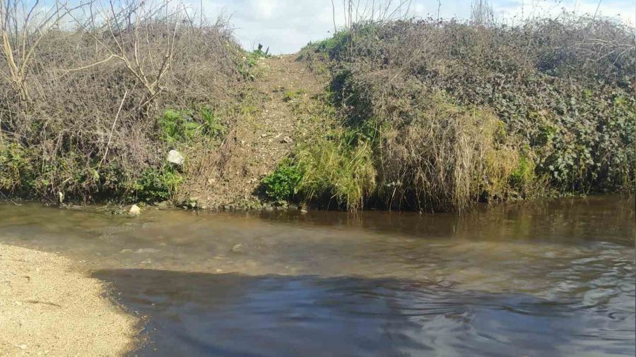 Büyükçekmece Barajı'na akan derede kimyasal atık şüphesi