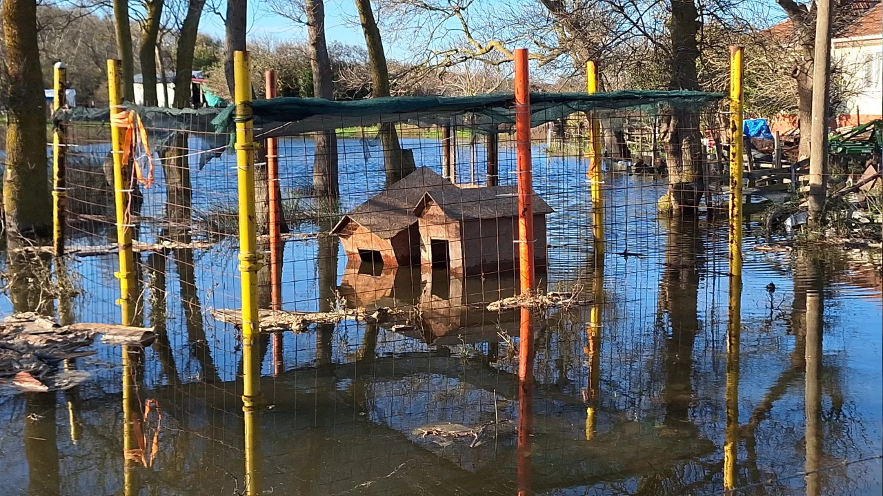 Denizdeki fırtına tarım alanlarını sular altında bıraktı