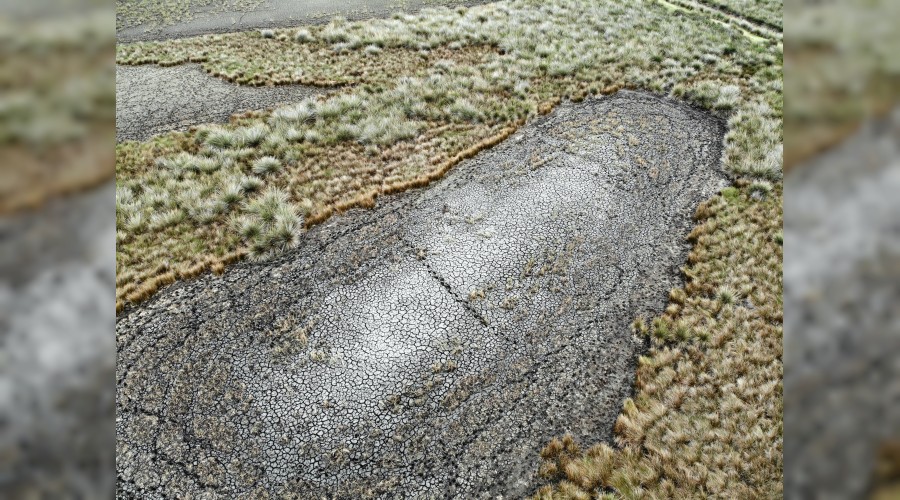 Doğa can çekişir mi? Türkiye'de 'evet'