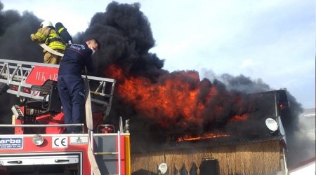 Edremit sahilinde korkutan yangın