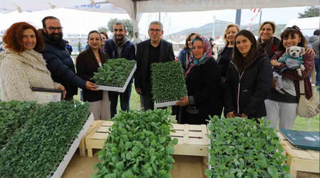 Efes Tarlas'nn ata tohumlar deprem blgesinde filizlenecek