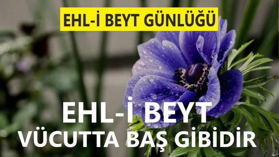 Ehl-i Beyt vcutta ba gibidir