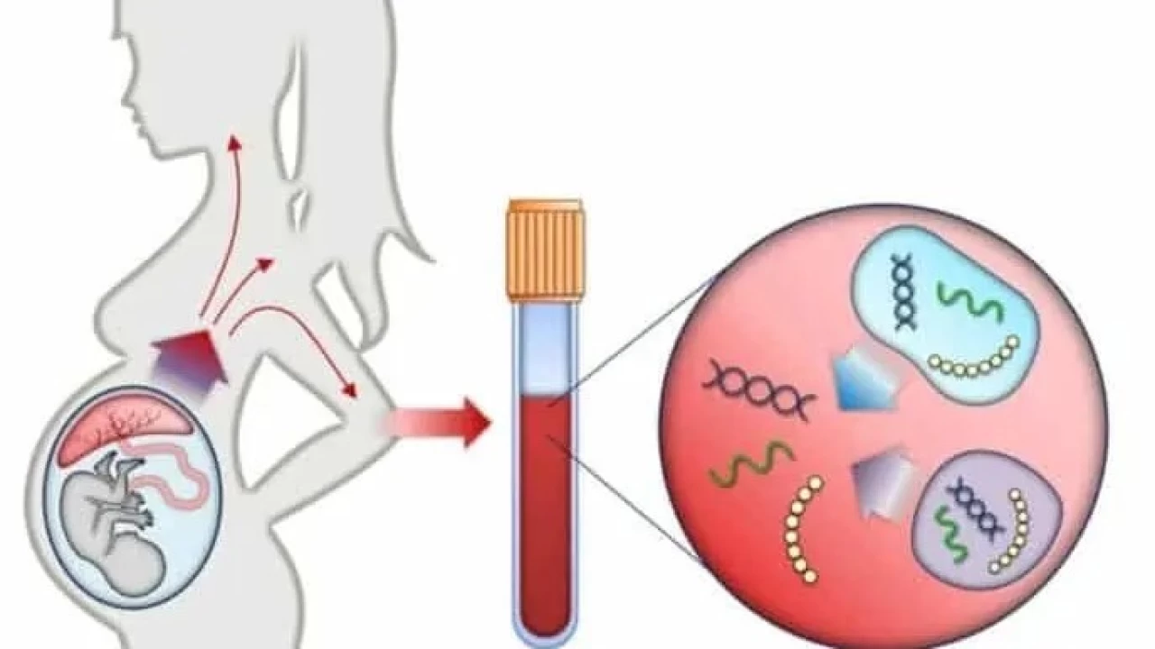 Fetal DNA testi: Gebelik takibinde devrim niteliinde bir yenilik