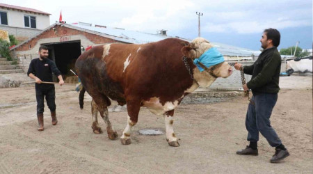 Fiyatı dudak uçuklatıyor