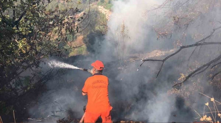 Gazipaa'da avokado bahesi alevlere teslim oldu