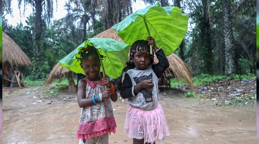 Gineli çocukların doğal şemsiyesi şaşırtıyor