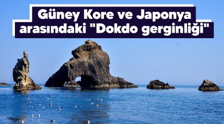 Güney Kore ve Japonya arasındaki "Dokdo gerginliği"