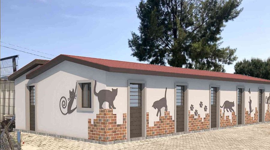 Hasta kedilere özel tedavi ünitesi