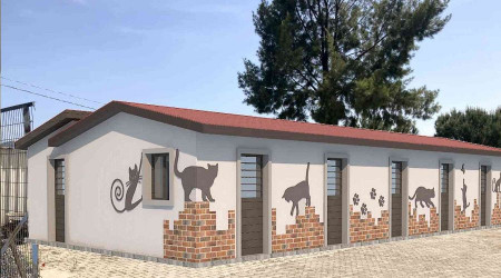 Hasta kedilere özel tedavi ünitesi