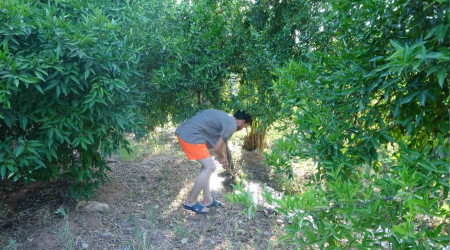 Hem ağaçları hem kendilerini suluyorlar