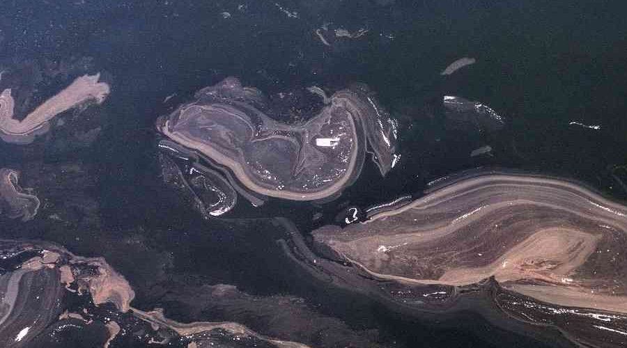 İstanbul'da müsilaj yeniden görüldü