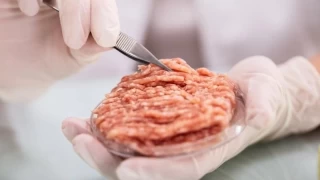 İtalya’da yapay et yasaklandı!