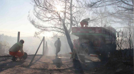 İzmir'deki orman yangını kontrol altında