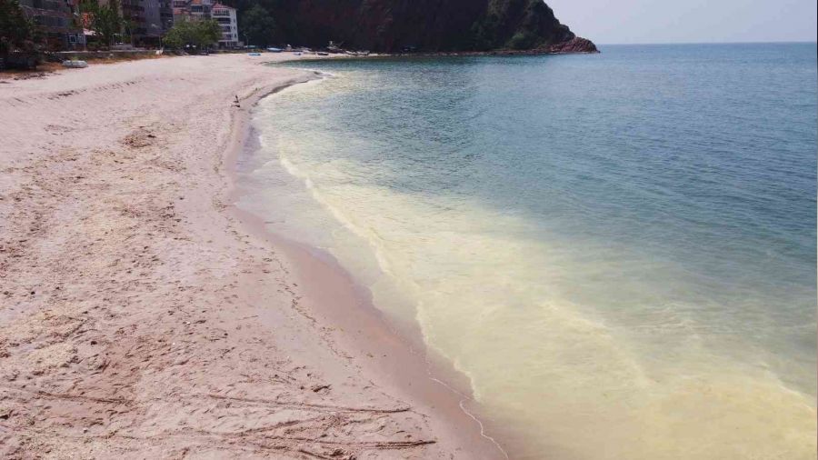Karadeniz'de korkutan görüntü