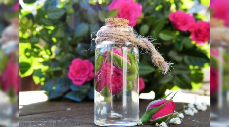 Kolonya yerine gül suyu tavsiyesi