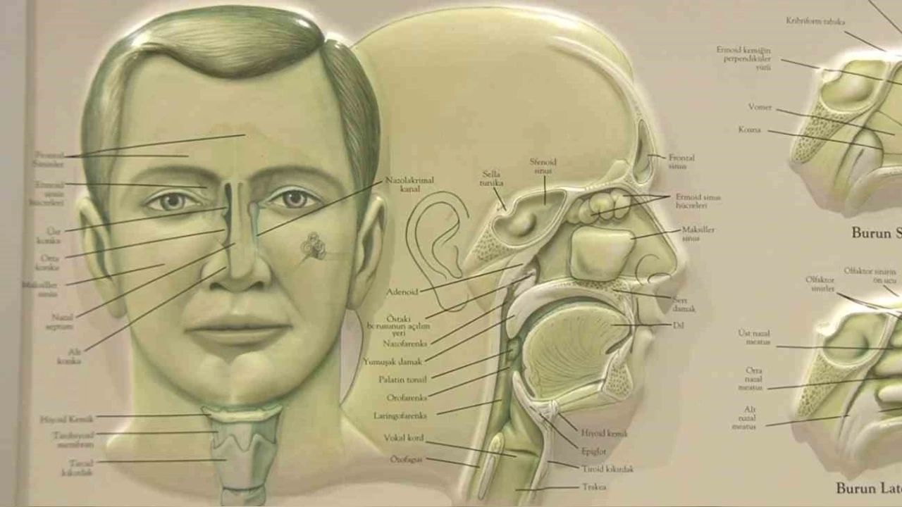 'Kulak çınlaması ciddiye alınmalı'