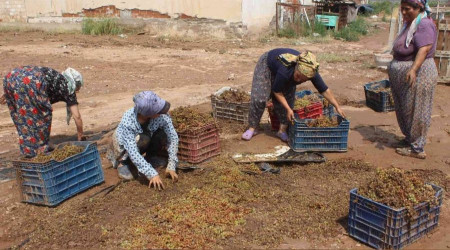 Manisa'da tonlarca zm sel sular gtrd