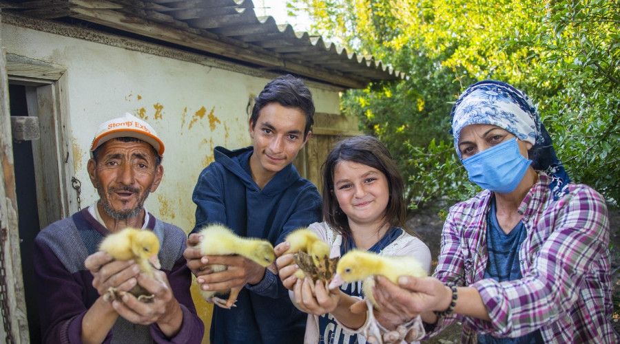 Mersin'de üretici kadınlara kaz desteği