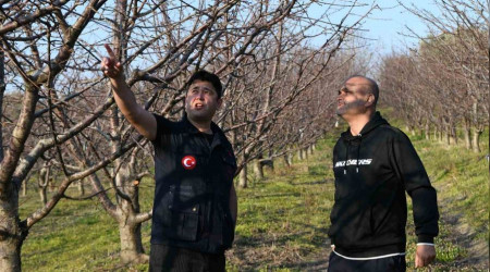 Meyve ağaçları soğuklama ihtiyaçlarını karşıladı