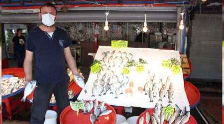 Müsilaj balıkçı esnafını etkiledi