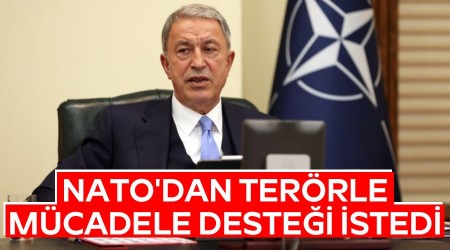 NATO'dan terörle mücadele desteği istedi