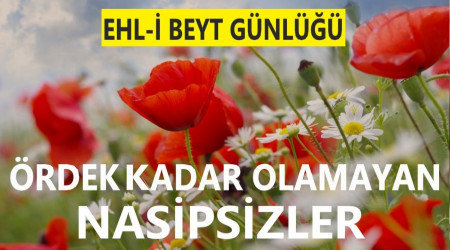 Ördek kadar olamayan nasipsizler!