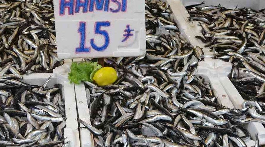 Ordu'da hamsinin kilosu 15 lira