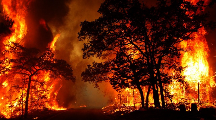 Orman yangınlarıyla roketli mücadele