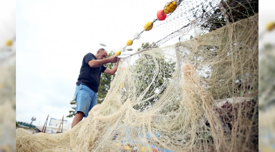 Palamutta hayal kırıklığı