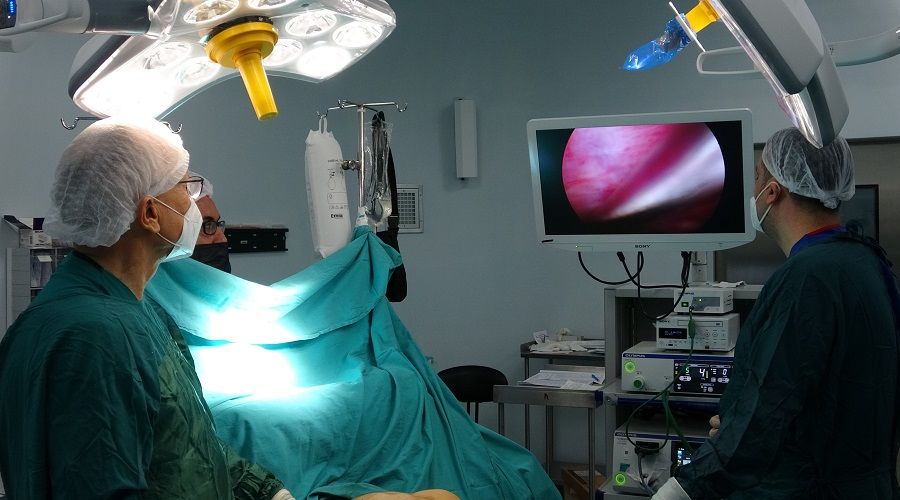 Pektus Farkındalık Haftasında; petrus'u tanımak