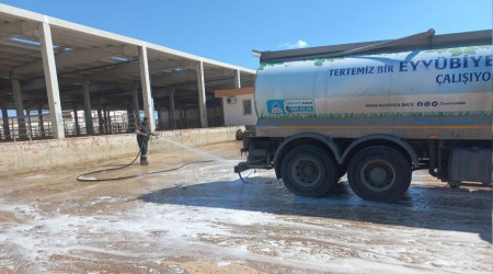 Şanlıurfa'ya canlı hayvan giriş çıkışı yasaklandı