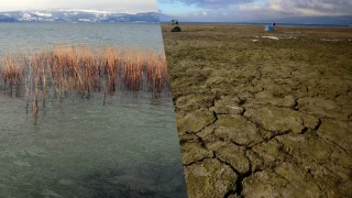 Sapanca Gölü'nde alarm zilleri çalıyor