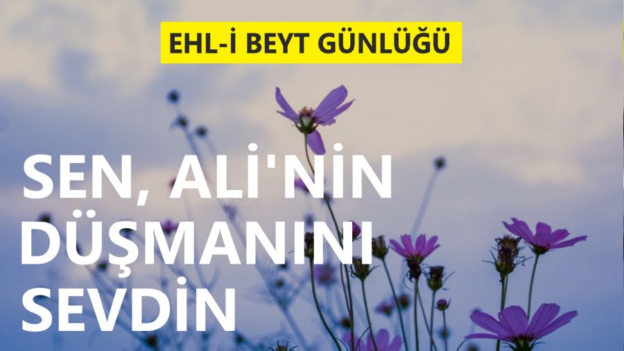 ‘Sen Ali’nin düşmanını sevdin!’