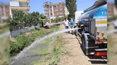 Su kaplumbağalarına can suyu