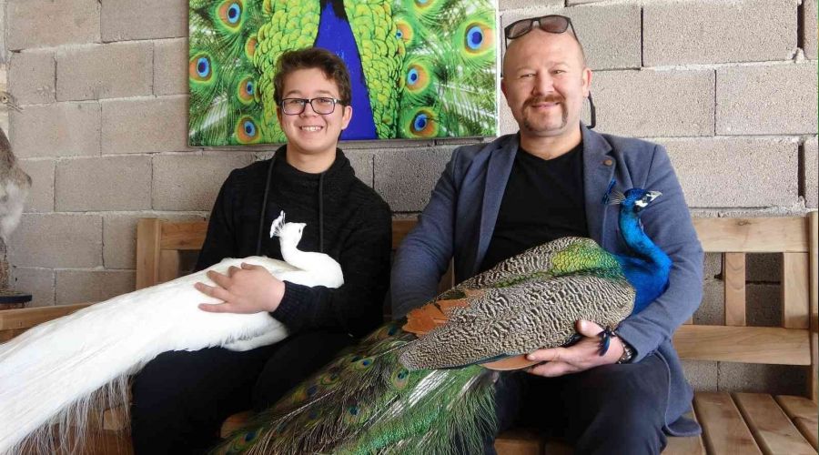 Tanesinden 5 bin TL kazanıyor