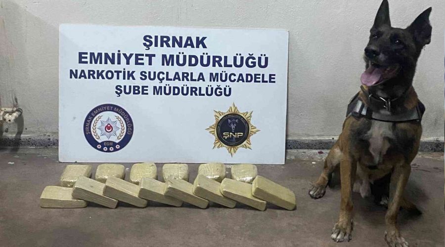 Terörün finans kaynaklarına operasyon: 34 gözaltı