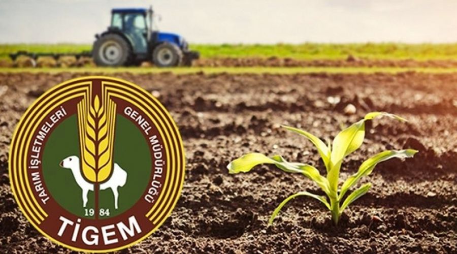 TİGEM'den kiralık tarlalar
