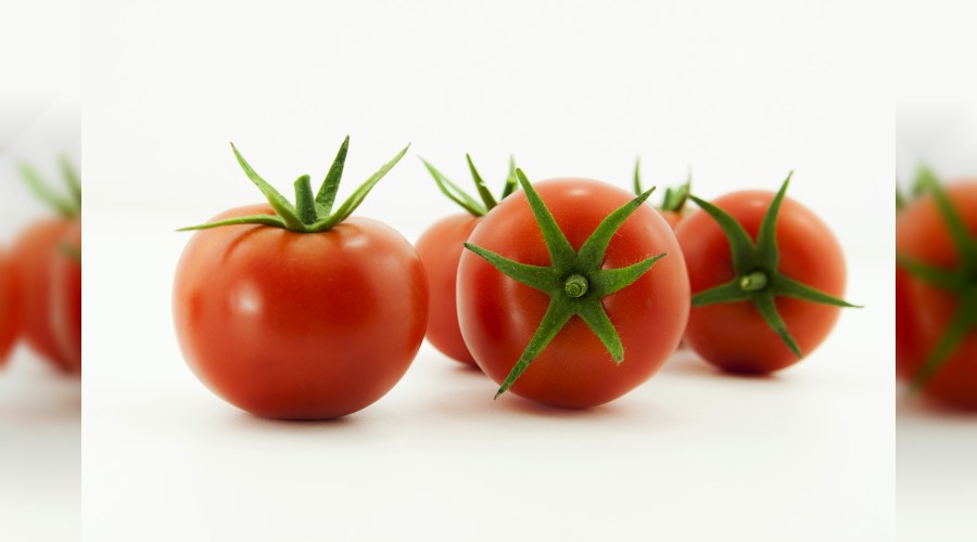 Türk domatesi Rusya vizesini kaptı