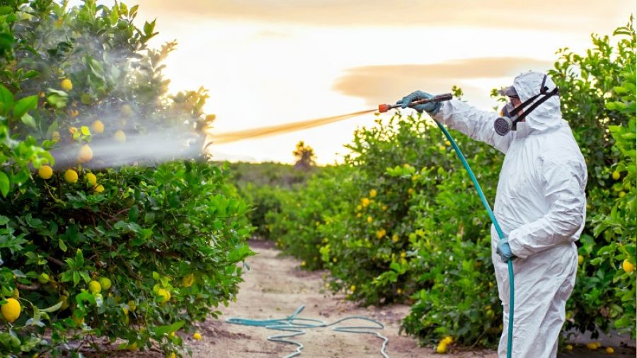 Türkiye'de tarım zehri kullanımı 3’e katlandı!