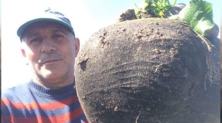 6.5 kiloluk turp görenleri hayrete düşürüyor