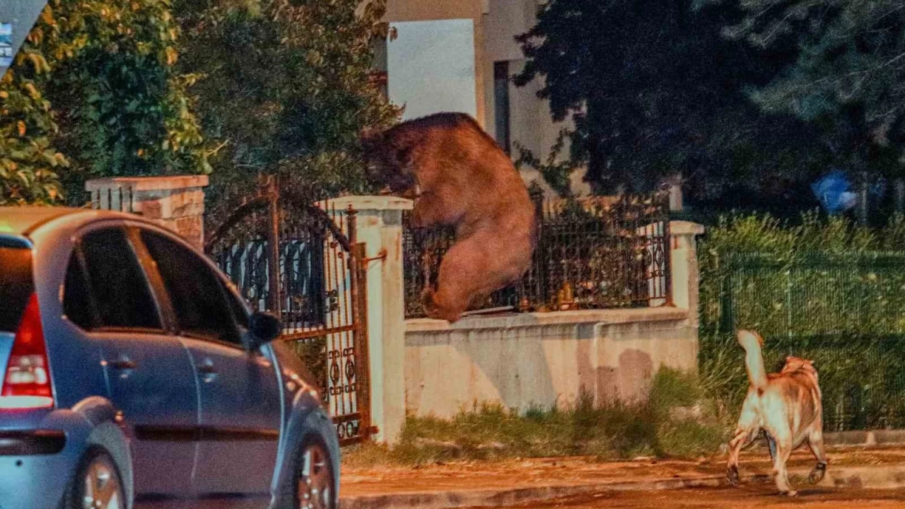 A kalan ay, Ankara'da