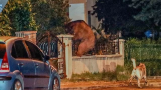 A kalan ay, Ankara'da