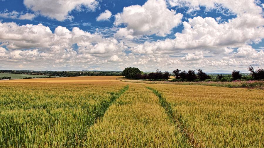 Antalya'da satılık araziler