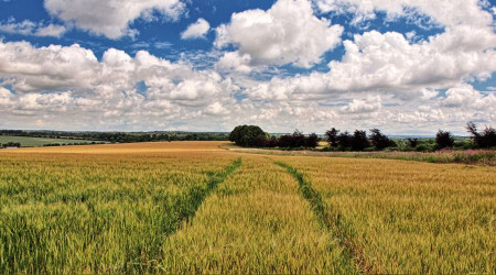 Antalya'da satılık araziler