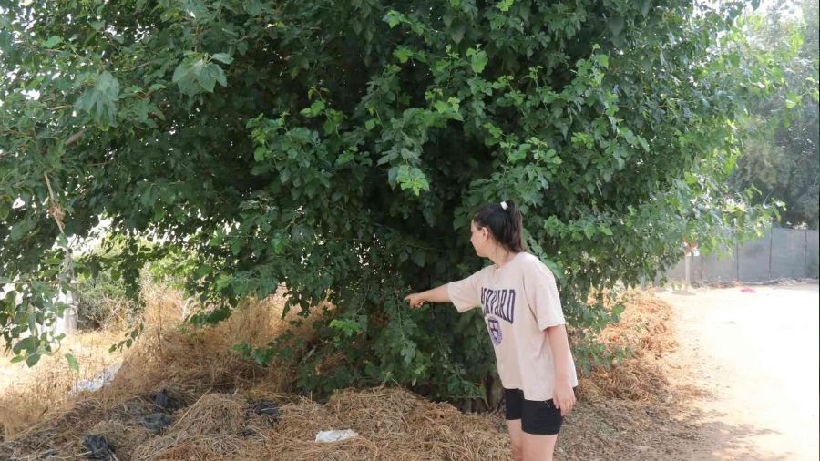 Antalya'da vicdanlar szlatan olay: Aa altnda bebek bulundu