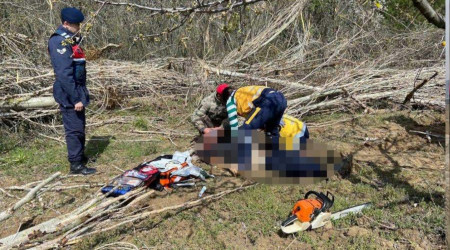Arkadaşının kestiği ağacın altında kalarak hayatını kaybetti